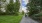 nearby employees walk through the Boston greenway on their lunch break